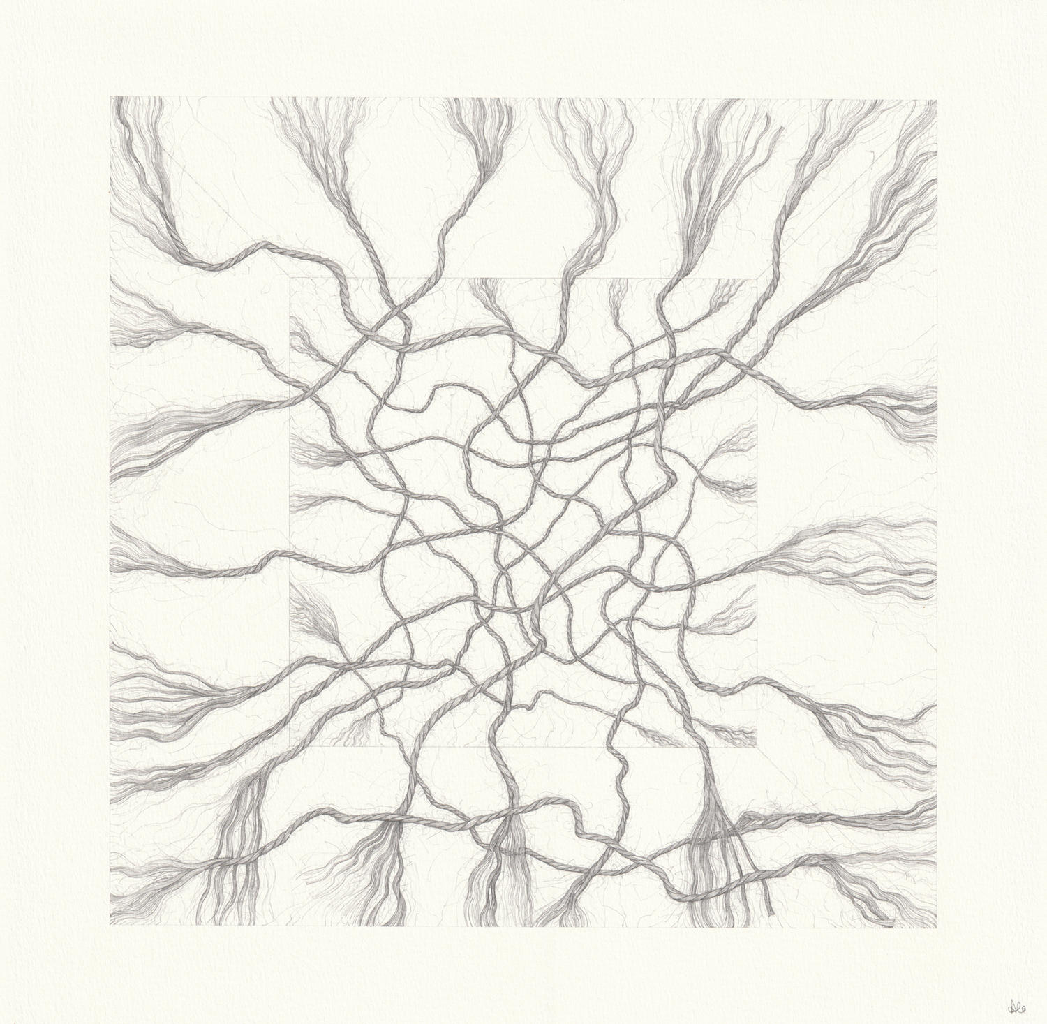 Back and Forth (38 x 38 cm) pencil on paper